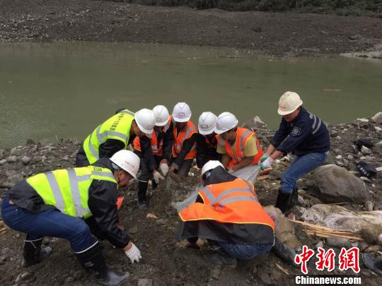 中国铁建救援队在救援现场。　程利军 摄