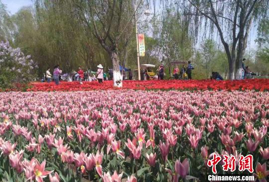 资料图。图为鲜花装扮城市。　钟欣 摄