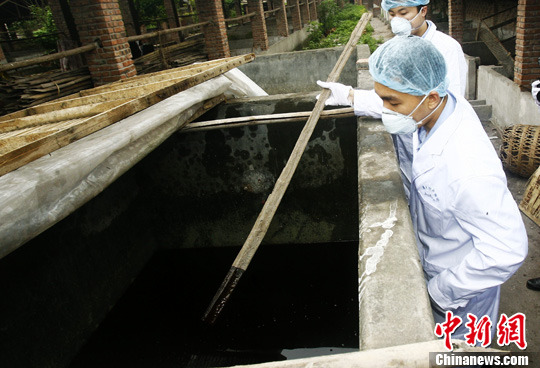 资料图：检测人员对警方查获的制售潲水油窝点内的半成品油进行检测。发 郭晋嘉 摄